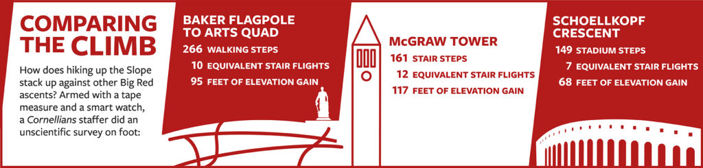 Graphic illustration compares the climb up the Slope with the climb up the stairs of McGraw Tower and Schoellkopf Crescent