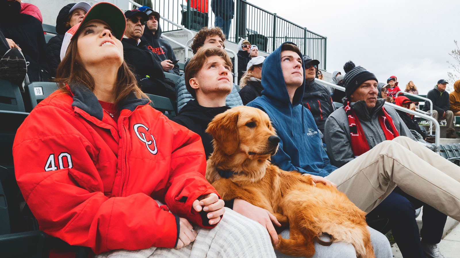 A six-month-old puppy at the game along with human spectators during a Big Red men‘s baseball game in April 2024 at Booth Field