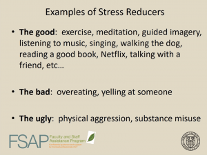 “Examples of stress reducers” slide from FSAP webinar