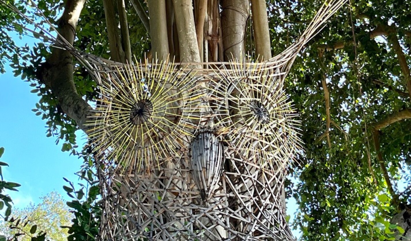 Detail of “Hidden in Plain Sight,” a 25-foot-tall bamboo sculpture of an Eastern screech owl by The Myth Makers, Donna Dodson and Andy Moerlein MFA ’82